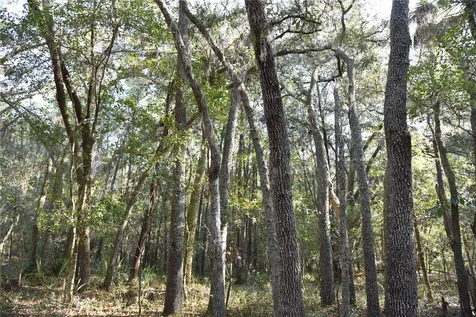 81 Clouds Avenue Interlachen FL 32148