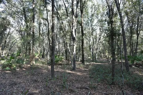 81 Clouds Avenue Interlachen FL 32148