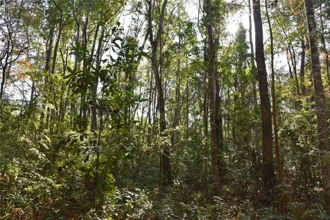 81 Clouds Avenue Interlachen FL 32148