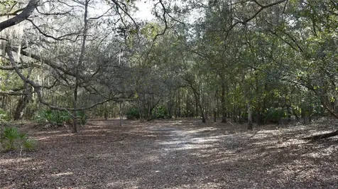 81 Clouds Avenue Interlachen FL 32148