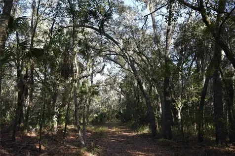 81 Clouds Avenue Interlachen FL 32148