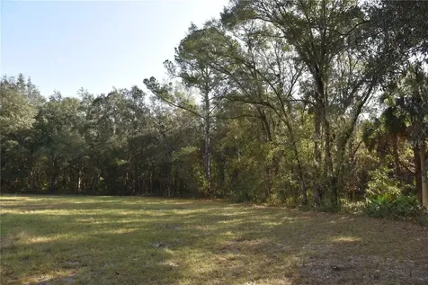 81 Clouds Avenue Interlachen FL 32148
