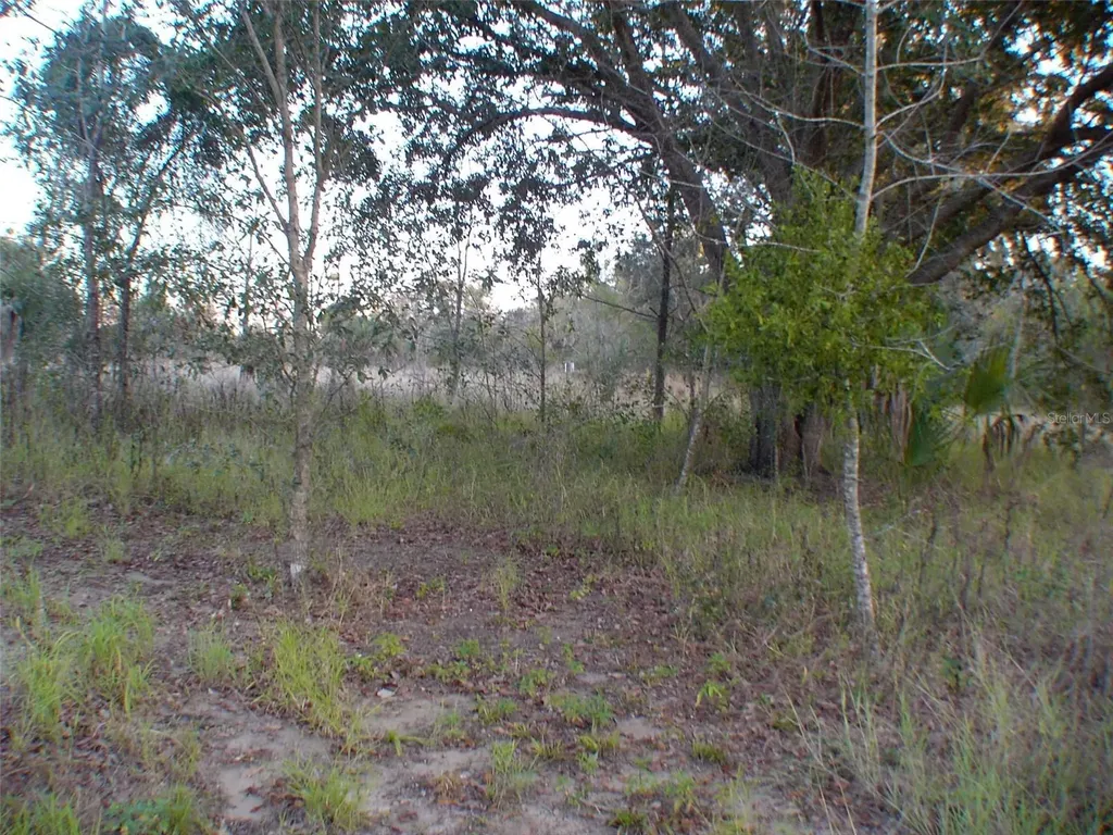 Lady Lake FL 32159