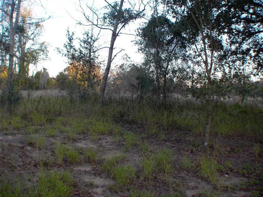 Lady Lake FL 32159