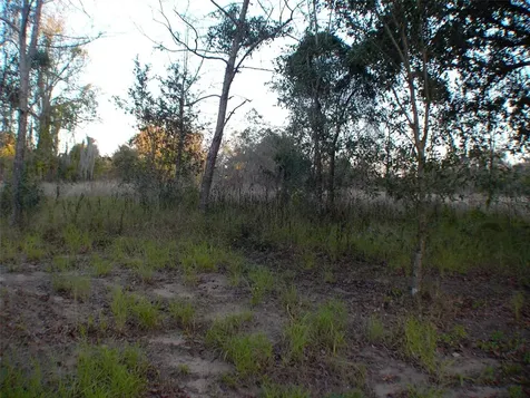 Lady Lake FL 32159