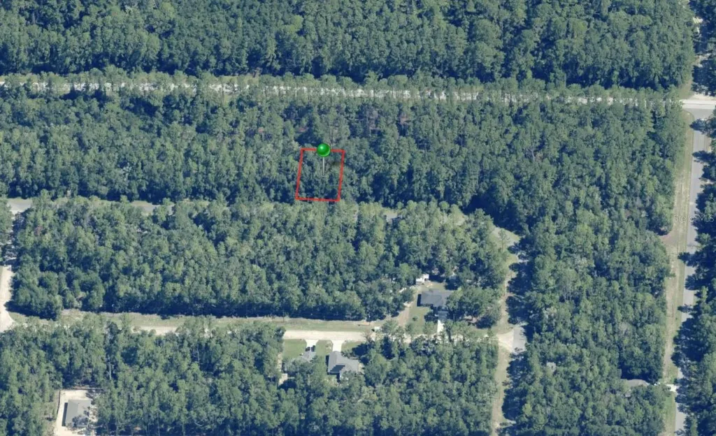 9243 N Patch Drive Citrus Springs FL 34434
