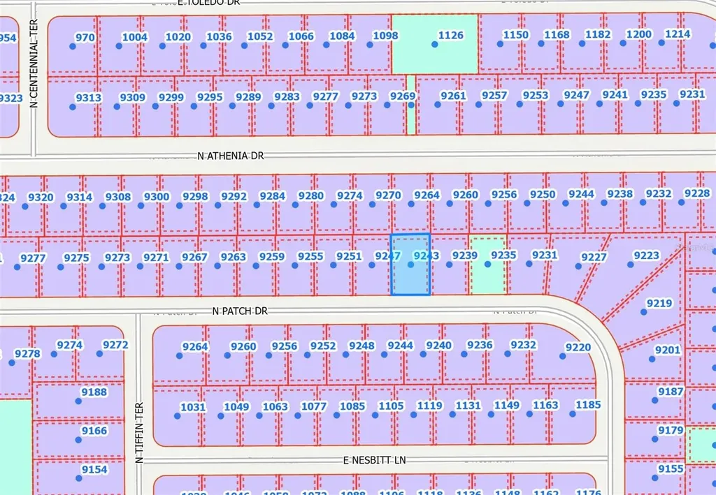 9243 N Patch Drive Citrus Springs FL 34434