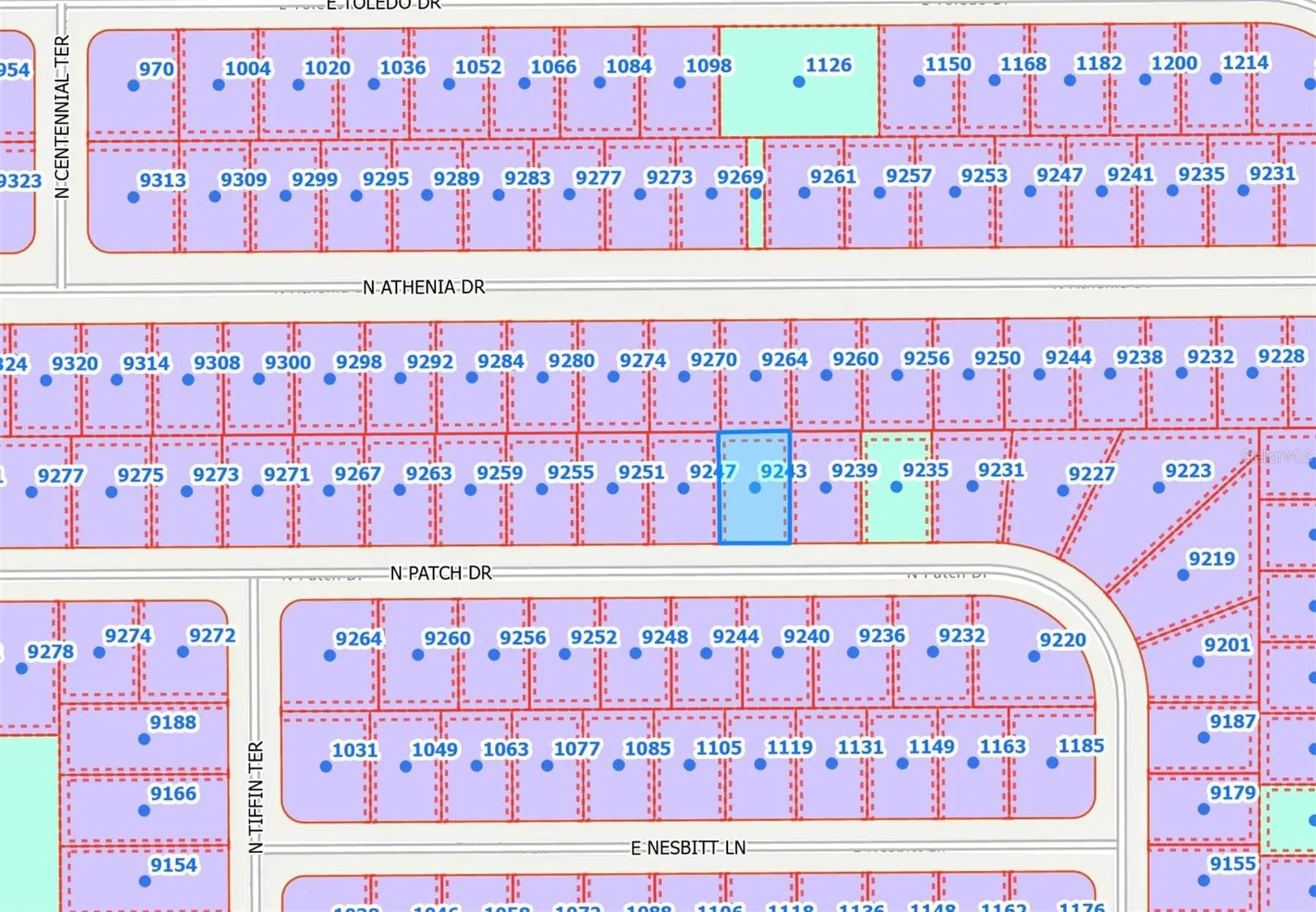 9243 N Patch Drive Citrus Springs FL 34434