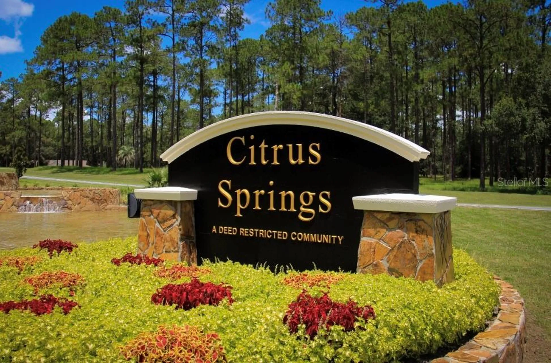 9243 N Patch Drive Citrus Springs FL 34434