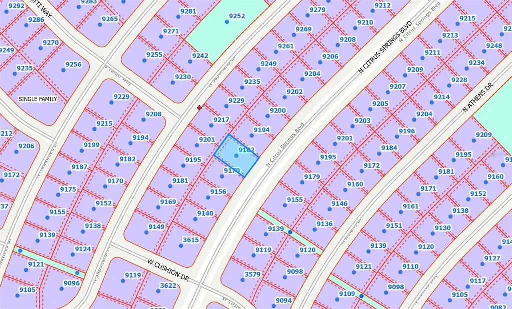 9182 N Citrus Springs Boulevard Citrus Springs FL 34433