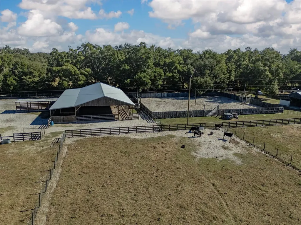 17885 NE 2nd Place Williston FL 32696