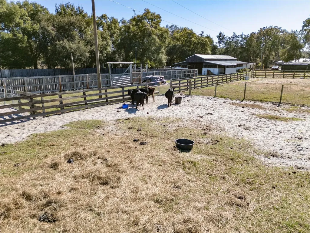 17885 NE 2nd Place Williston FL 32696