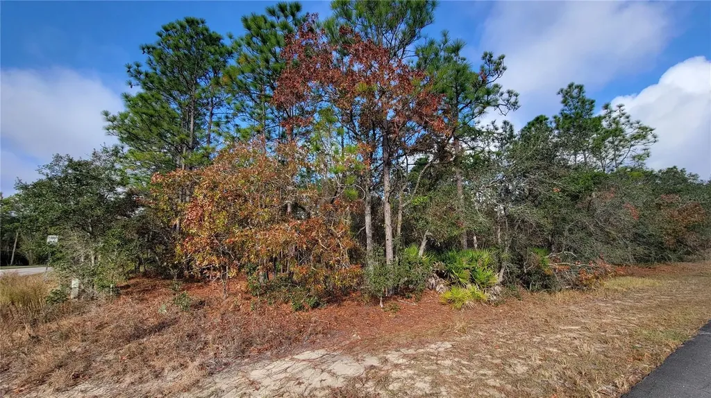 4312 N Deckwood Drive Beverly Hills FL 34465
