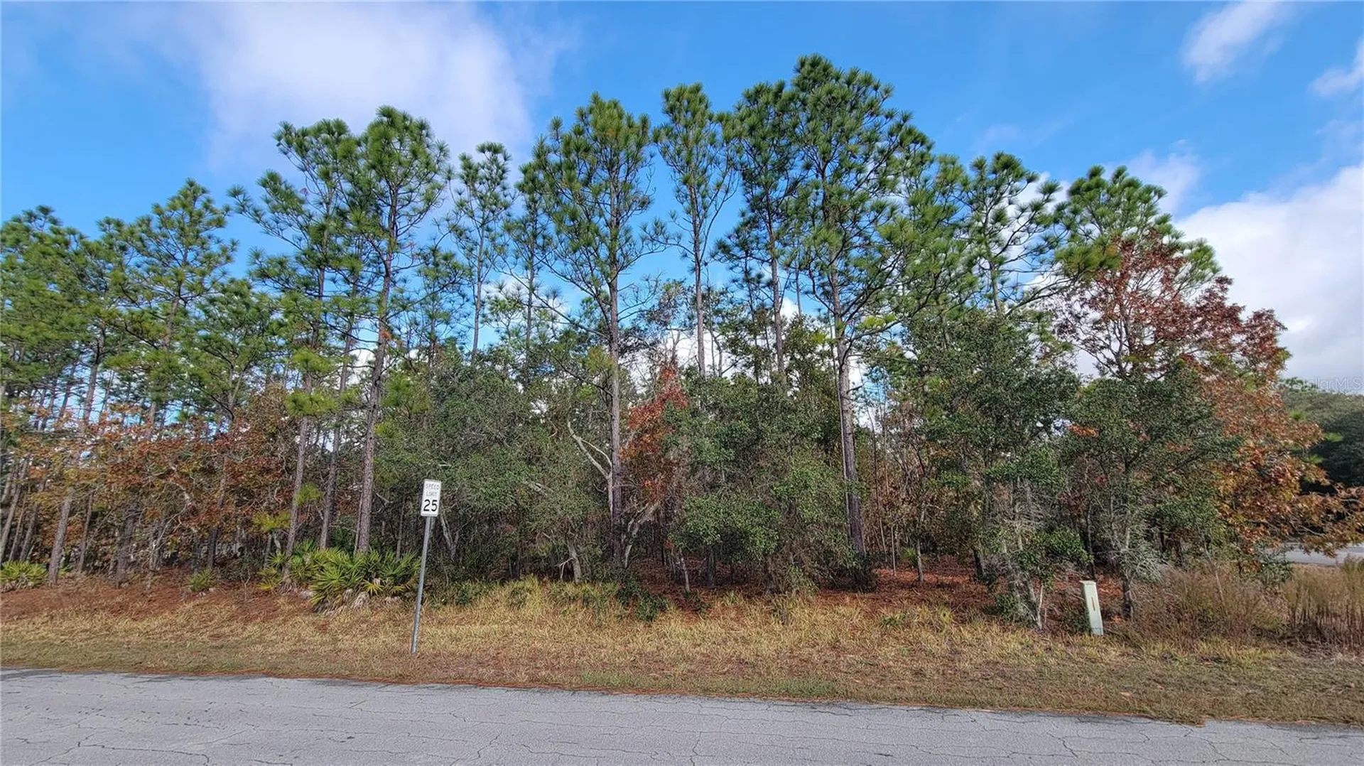 4312 N Deckwood Drive Beverly Hills FL 34465