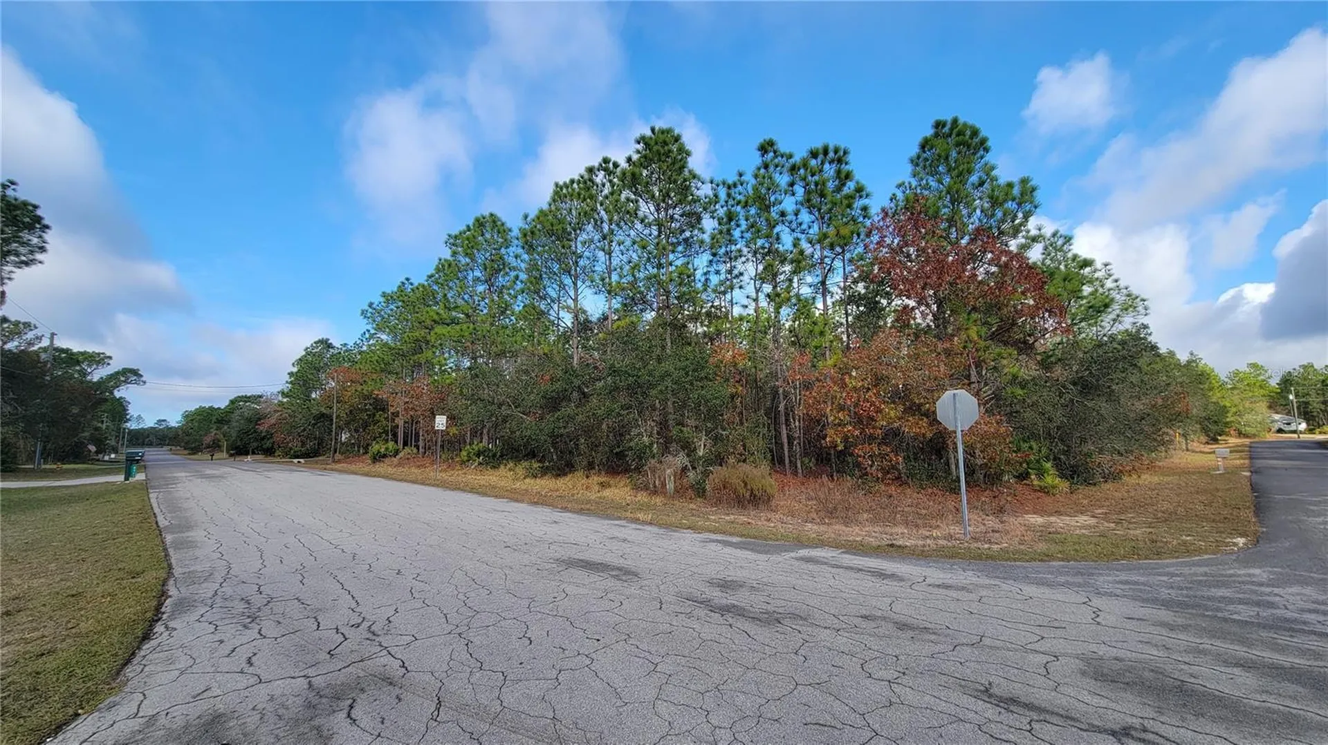 4312 N Deckwood Drive Beverly Hills FL 34465