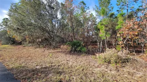 4312 N Deckwood Drive Beverly Hills FL 34465