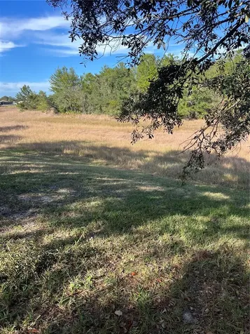 2441 Dustin Circle Spring Hill FL 34608