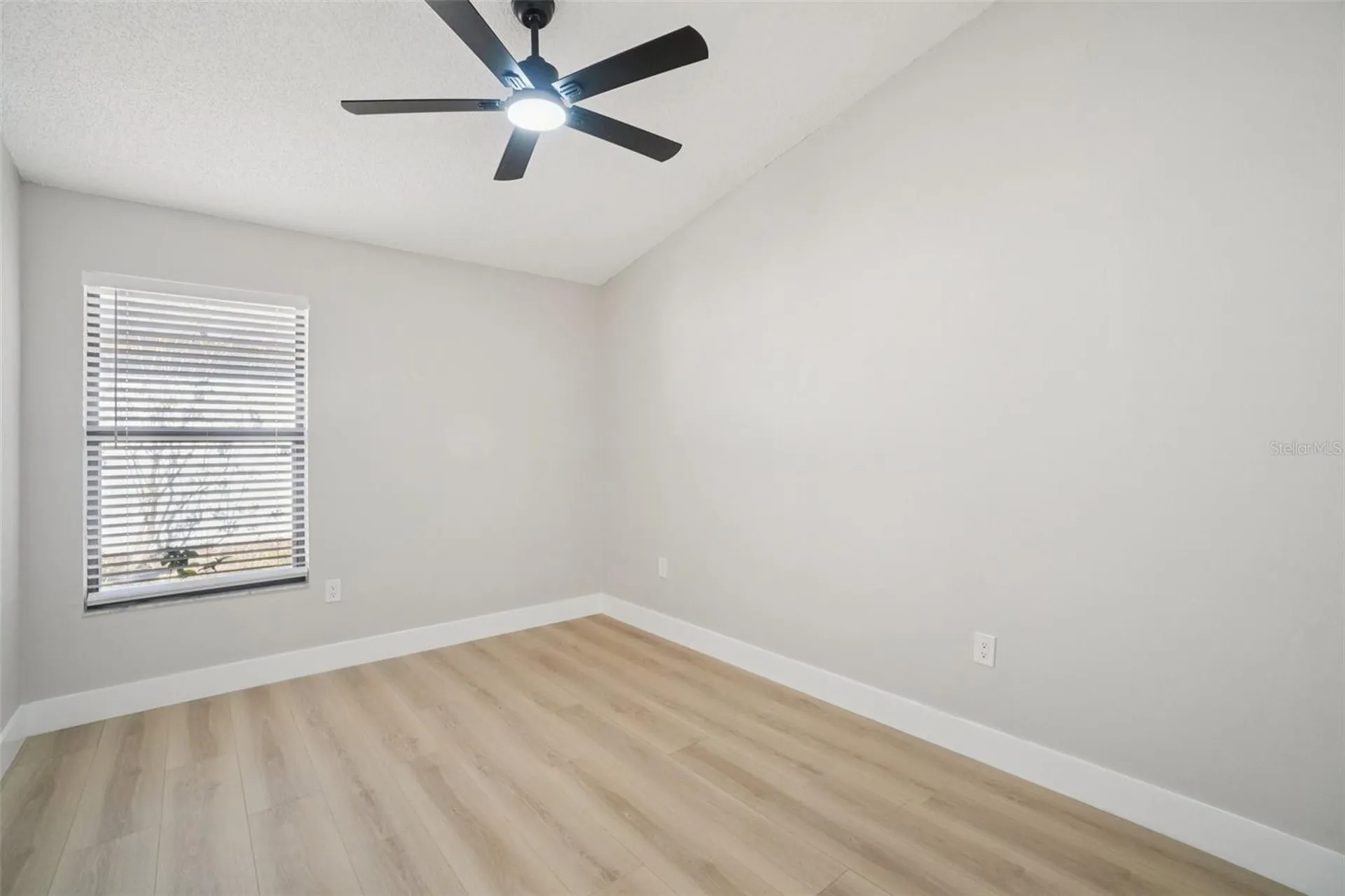 679 Bonnie Boulevard Palm Harbor FL 34684