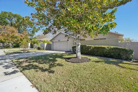 679 Bonnie Boulevard Palm Harbor FL 34684