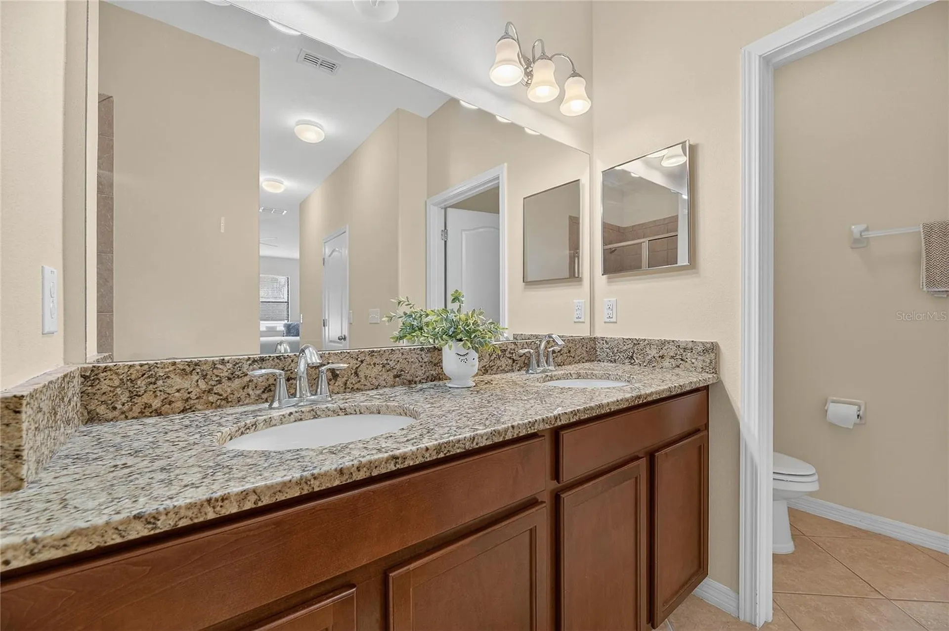 20041 Satin Leaf Avenue Tampa FL 33647