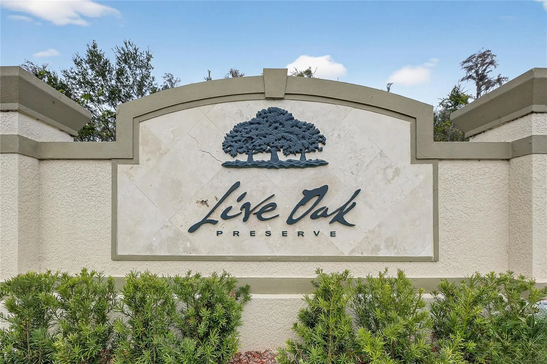 20041 Satin Leaf Avenue Tampa FL 33647