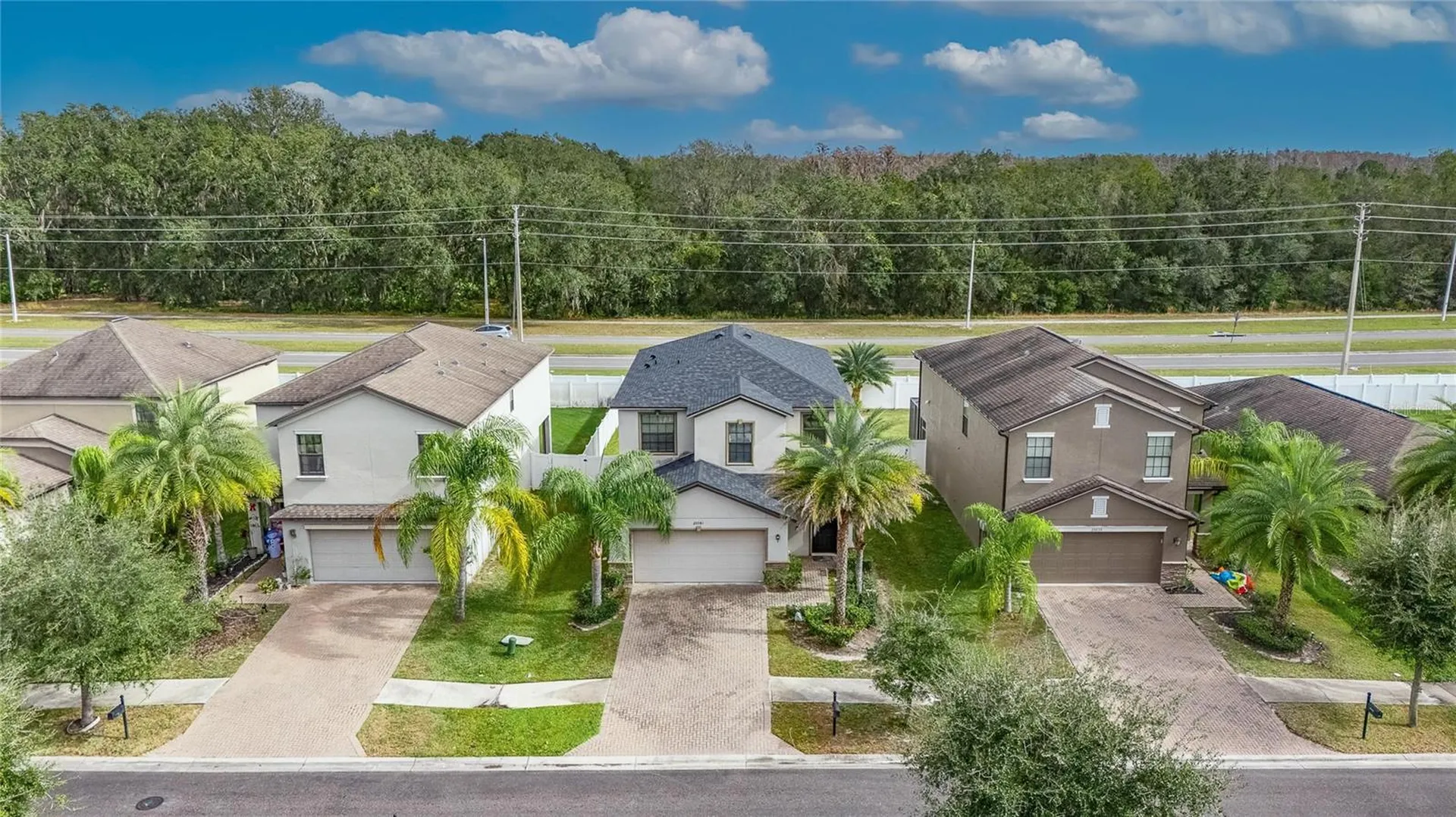 20041 Satin Leaf Avenue Tampa FL 33647