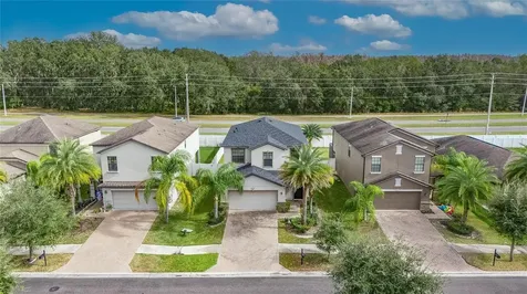 20041 Satin Leaf Avenue Tampa FL 33647