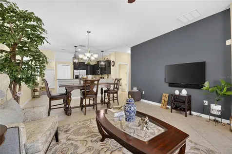 20041 Satin Leaf Avenue Tampa FL 33647