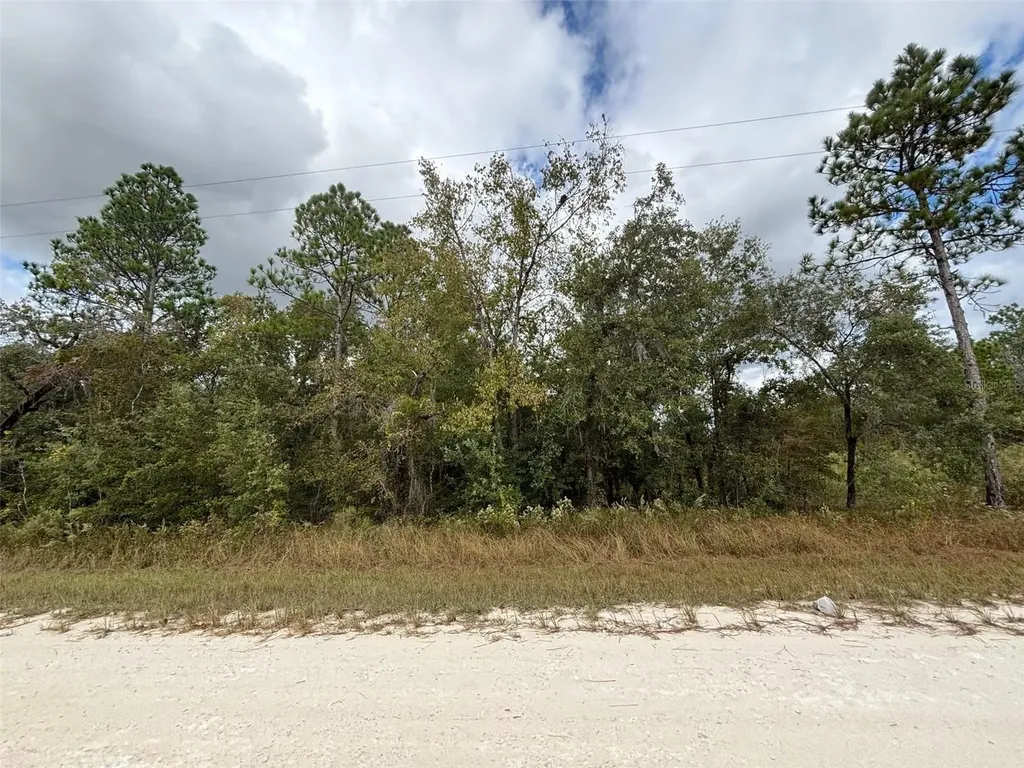 Lot 11 Red Marlin Avenue Weeki Wachee FL 34614