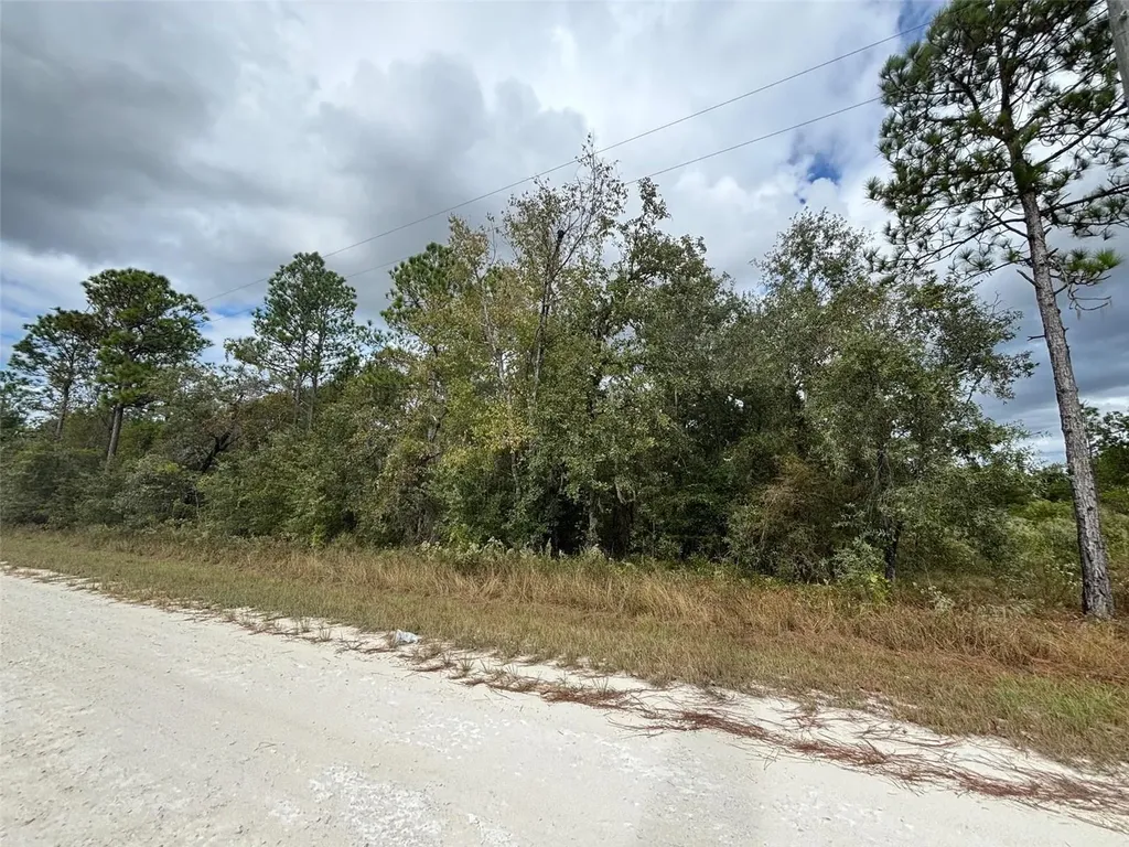 Lot 11 Red Marlin Avenue Weeki Wachee FL 34614
