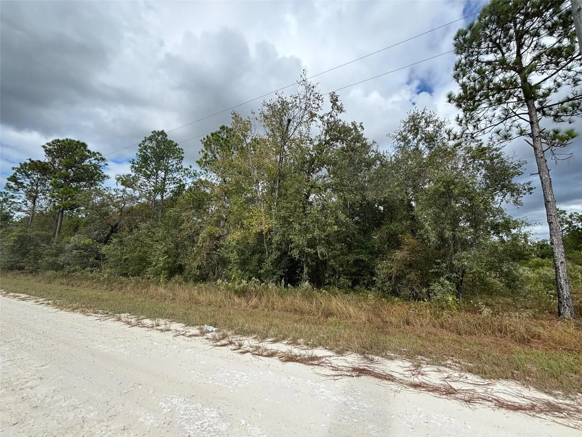 Lot 11 Red Marlin Avenue Weeki Wachee FL 34614