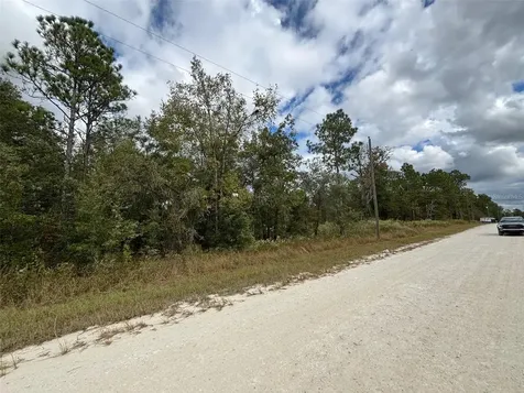 Lot 11 Red Marlin Avenue Weeki Wachee FL 34614