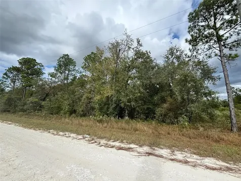 Lot 11 Red Marlin Avenue Weeki Wachee FL 34614