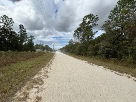 Lot 11 Red Marlin Avenue Weeki Wachee FL 34614