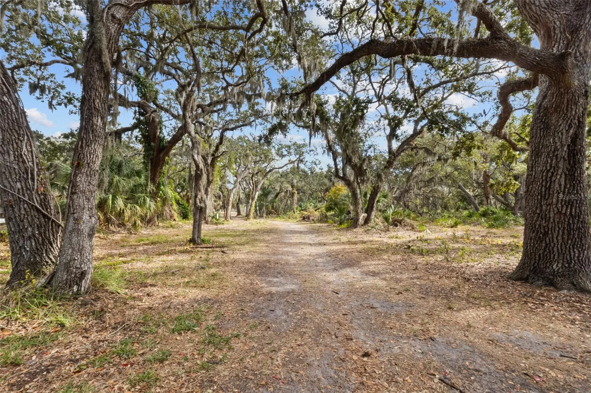 4848 Camphor Avenue Sarasota FL 34231