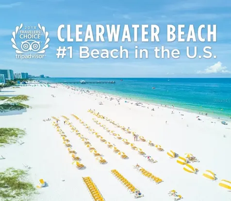 1216 S Missouri Avenue Clearwater FL 33756