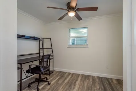 5009 Dory Drive New Port Richey FL 34652