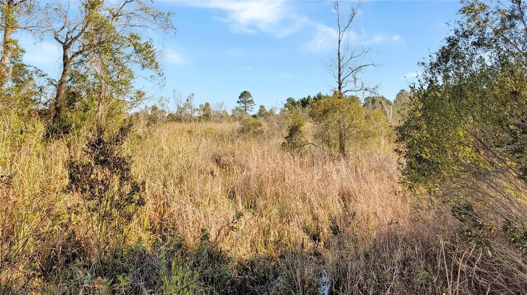 23545 Bishop Avenue Christmas FL 32709