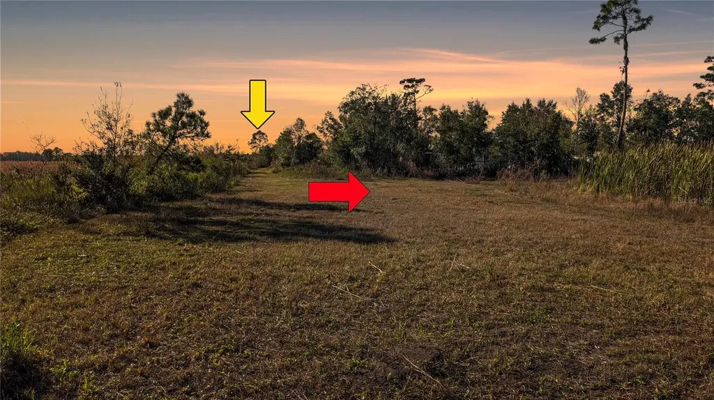 23545 Bishop Avenue Christmas FL 32709
