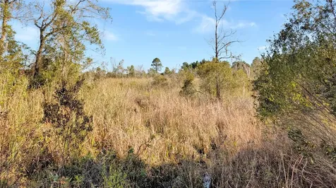 23545 Bishop Avenue Christmas FL 32709