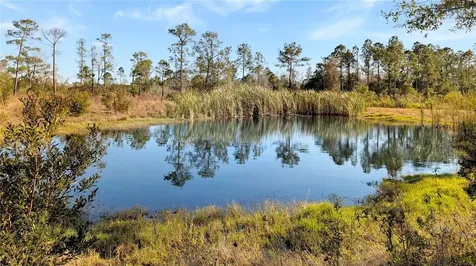 23545 Bishop Avenue Christmas FL 32709
