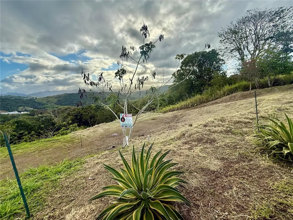Sector Campo Bello Cidra PR 00739