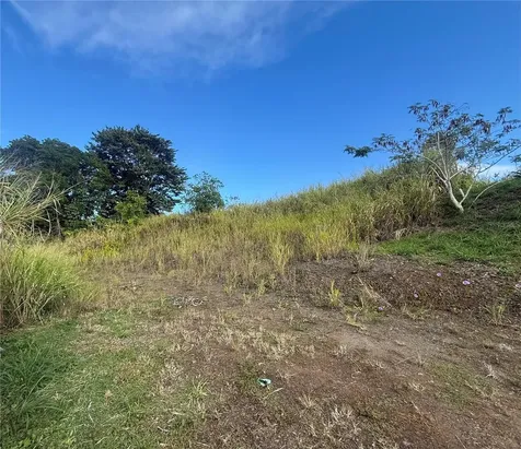 Sector Campo Bello Cidra PR 00739