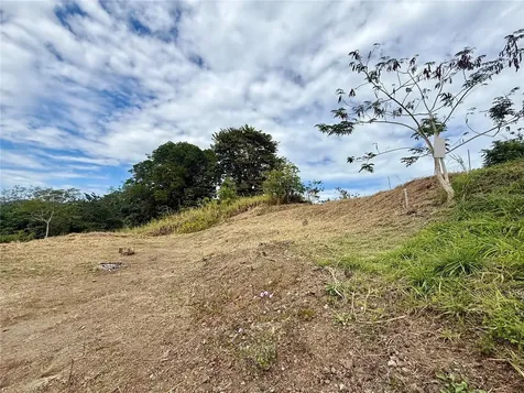 Sector Campo Bello Cidra PR 00739