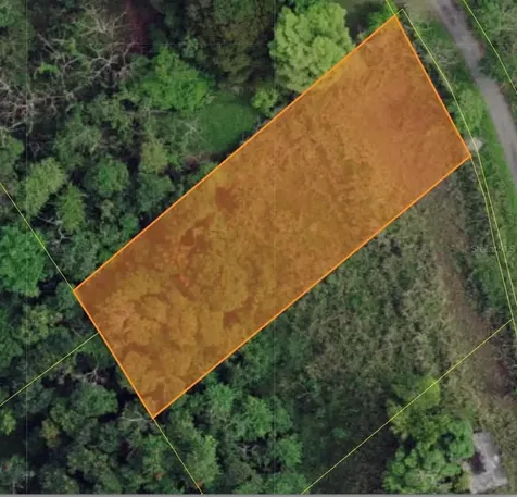 Sector Campo Bello Cidra PR 00739