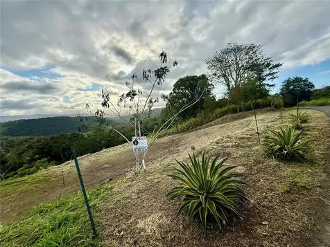 Sector Campo Bello Cidra PR 00739