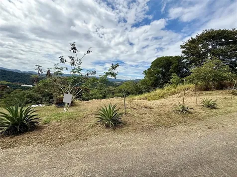 Sector Campo Bello Cidra PR 00739