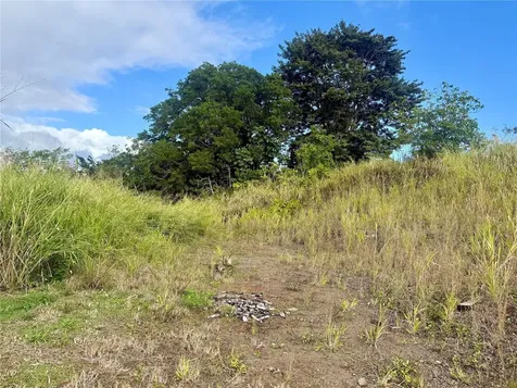 Sector Campo Bello Cidra PR 00739