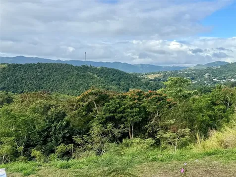 Sector Campo Bello Cidra PR 00739