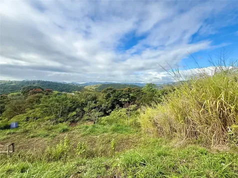 Sector Campo Bello Cidra PR 00739